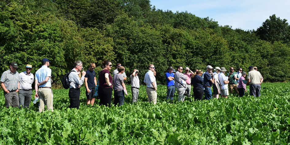 Innovative farmers take pioneering approach to improve soils in shared ...