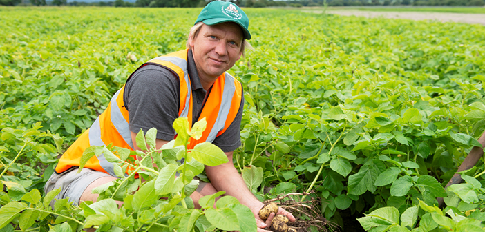 Shropshire potato grower realises huge efficiencies with latest digital technology
