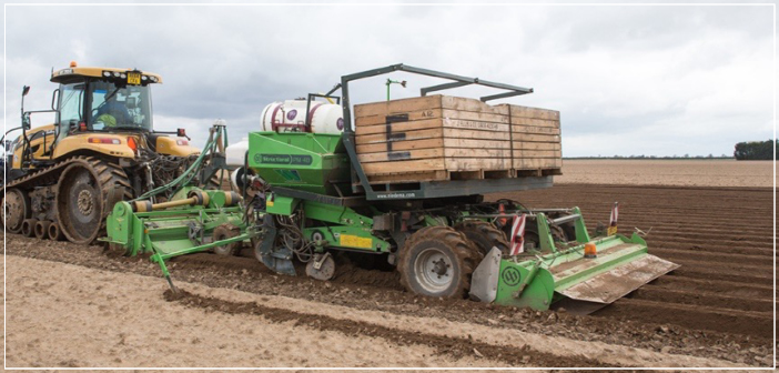 Potato haulm toppers: What are the options? - Farmers Weekly