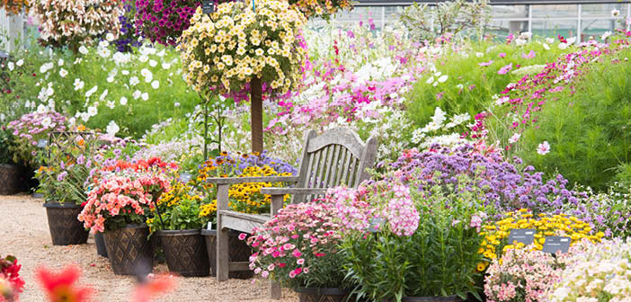 Floral Fantasia at RHS Garden Hyde Hall update - Hort News